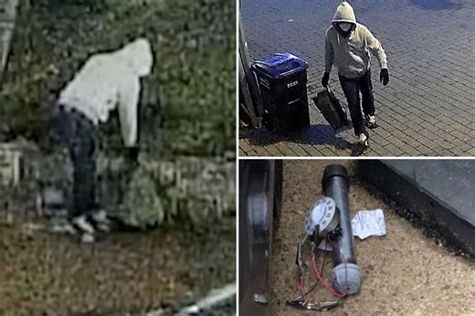 Brian Cole Jr. of Virginia identified as DC pipe bomb suspect: sources