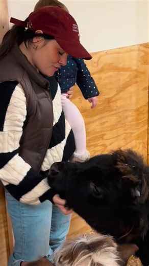 Ellie ✨ Lifestyle & CT Adventures on Instagram: "Wild encounters Winter magic And up-close moments you’ll never forget 🐾✨ Wild Warm-Ups at Action Wildlife are now booking this winter — cozy behind-the-scenes animal experiences that are perfect for families, animal lovers, and unique seasonal fun Now booking for winter #wildwarmup #actionwildlife #connecticutkids #ctfamilyfun #winterinconnecticut"