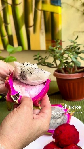 Pitaya y Pitahaya: Todo sobre la Fruta del Dragón