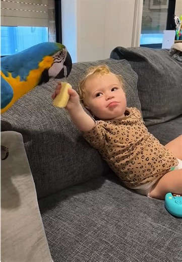 Rescuing a macaw from the water #macaw #rescue #cute #rescueanimals #wildlife