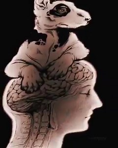 29 reactions | Dubai winters are unlike any in the world, where you...