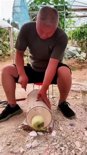 Artisanal Record: Full Process of Gourd Shell Clay Sculpture!