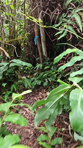 Biologist's Fieldwork: Love Every Bit of It!