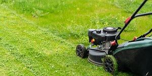 Why Mowing Your Grass When It’s Wet Is Always a Bad Idea