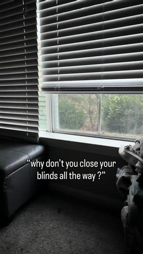 Why Window Cats Bring Joy to Cat Owners