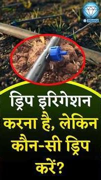 ड्रिप इरिगेशन करना है, लेकिन कौन सी ड्रिप करे? #farming #drip #facts #dripirrigation #agriculture