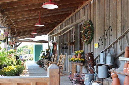 Best Country Stores to Visit in Virginia's Blue Ridge