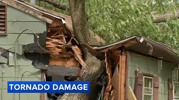 Tornado touched down in South Jersey during severe storms: NWS
