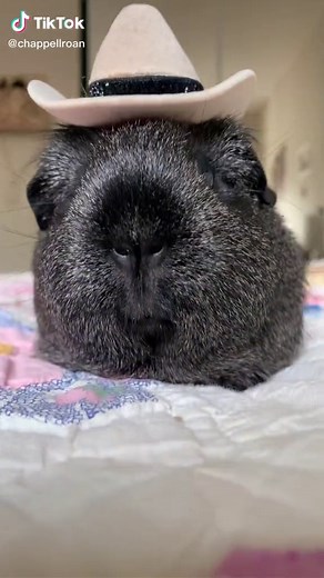 Pink pony club | with Music Voodoo People - Pendulum Mix - The Prodigy