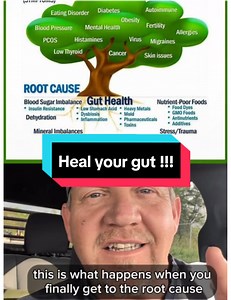 Heal your gut and your body will heal itself! #guthealth #diabetes #insulinresistance | Jeff Lanham