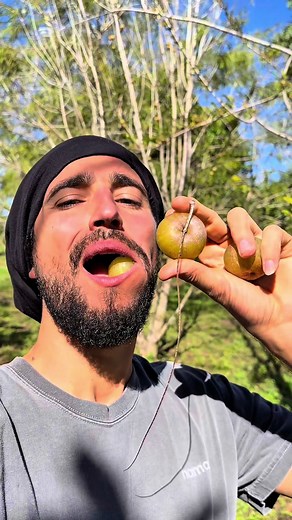 Amla (Indian gooseberry) might be one of the most underrated superfruits 🌿 Known for its exceptionally high vitamin C content, amla supports: • Immune function • Skin health and collagen production • Hair strength and growth • Digestive balance It has a naturally strong, sour taste—so yes, it can feel intense at first—but that potency reflects its nutrient density. I like to eat it whole, almost like a natural “jaw breaker,” as a simple way to incorporate it into my routine. If you’re looking t