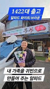 시에나 보다가 선택한 다는 그 차!! 토요타 럭셔리 알파드