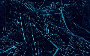 What are the 7 methods of cooking? [2025] | QAQooking.wiki