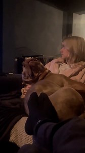 He just a babyyyy 🥰 | Furry Tails