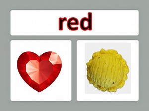 Color Identification - receptive