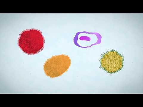 The Importance of Vaccinations