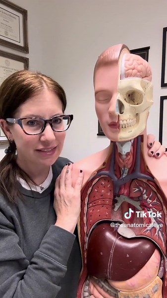 TikTok - Make Your Day