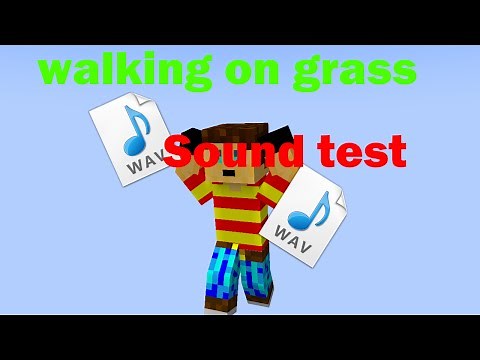 Sound Test: Walking on Grass (Minecraft Animation)