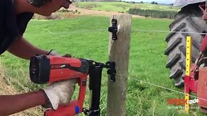 Use the STOCKade ST400i and ST400 with the insulator guide attachment to give you speed and precision when installing a permanent electric fence using 50mm fencing staples with the PEL/Speedrite post claw insulators. For more videos check out https://bit.ly/2YNDtt0 for more videos. Find out more about the STOCKade ST400i on our website: https://www.stockade.com/ #stockade #poweredfencestapler #betterfastersafer #putthehammerdown #fencelife | Stockade
