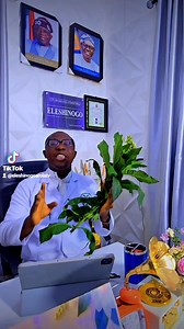 24K views · 333 reactions | Remedy for Idiopathic immune thrombocytopenic purpura ( ITP ) | Eleshinogo Arola Tv | Facebook