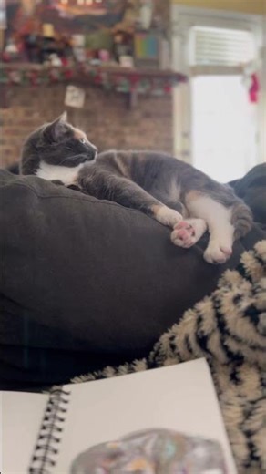 Sketchbook watercolor painting of my diluted calico cat, Luna #painting #petportrait #catpainting