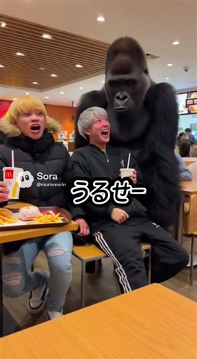 うるさい客の末路…店内が静かになった瞬間🦍