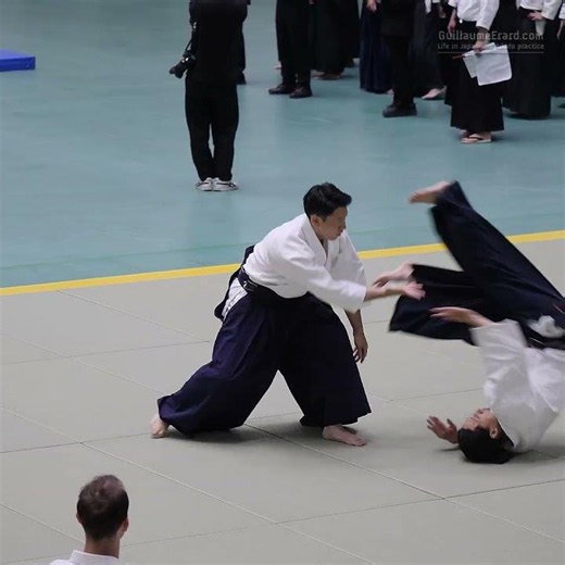 Fuji Shohei (Kyoto) - 63rd All Japan Aikido Demonstration 2026