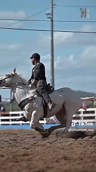 Cavalos e Vaquejada: A Festa Brasileira em Destaque
