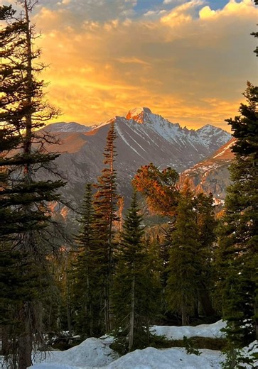 This is how to liquify text on photoshop #adobe #howto #photoshop