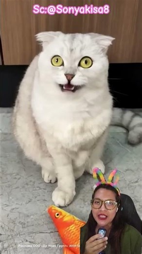 open the food lock‼️@Sonyakisa8