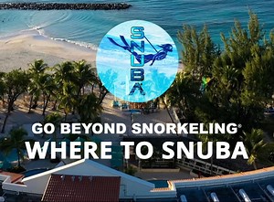 Did you know that licensed SNUBA Operators can be found across the globe, including St. Lucia, the Virgin Islands, Turks and Caicos, Florida, Hawaii, Mexico, the Caribbean Islands, and so many more amazing locations? Check out our WHERE TO SNUBA page at https://snuba.com/where-to-snuba/ and find the location that works best for your vacation destination! #Snuba #snubalife🤙🏼✌️🐢🐟 | SNUBA