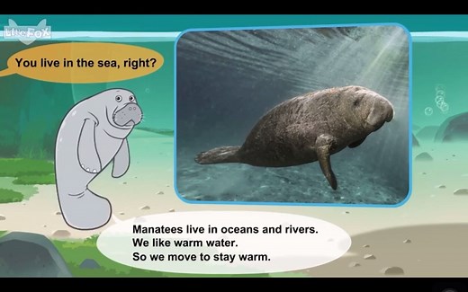 认识动物：海牛 Meet the Animals Manatee