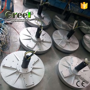 [Hot Item] Axial Flux Disc Coreless Permanent Magnet Generators