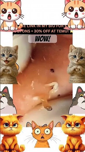 😵 nice pop!!!