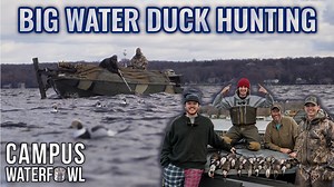 15K views · 342 reactions | On this diver duck hunt we head to big...
