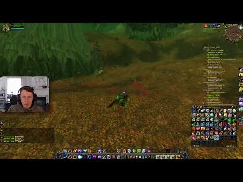 WoW Classic - 20th Anniversary Server