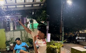 Cách đuổi bướm đêm ra khỏi nhà hút 50 triệu view