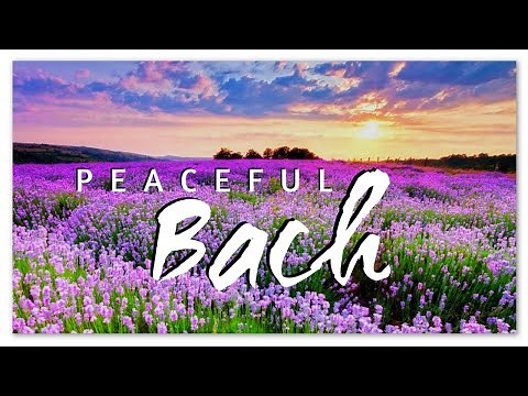 Peaceful Bach - The Best Piano Solo