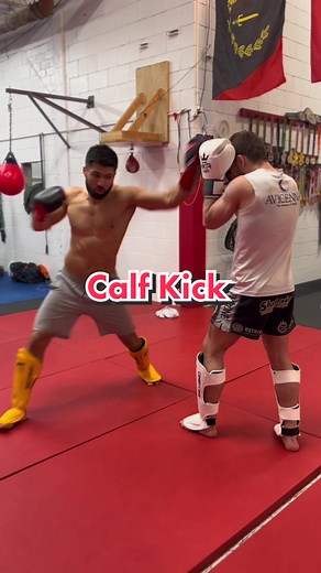 Effective Calf Kick Techniques for MMA Fighters