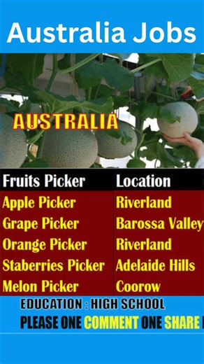 Picker Jobs in Australia | Jobs With Visa Guide