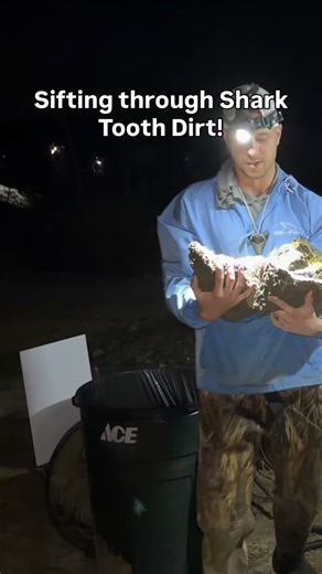 This dirt is actually the ancient ocean floor and fossil layer that was chosen exactly for its fossil shark teeth at @palmettofossilexcursions so we could spray and sift it! Watch me find a baby extinct micro Snaggletooth and a Great White Shark blade, all from millions of years ago! | SHRKco