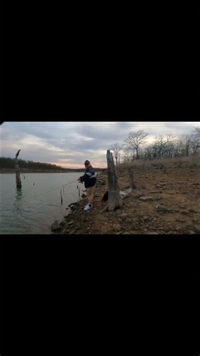 White bass caught at Skiatook Lake #fishing #oklahomafishing