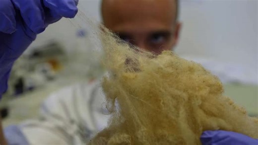 How toothpaste made from hair could help repair teeth