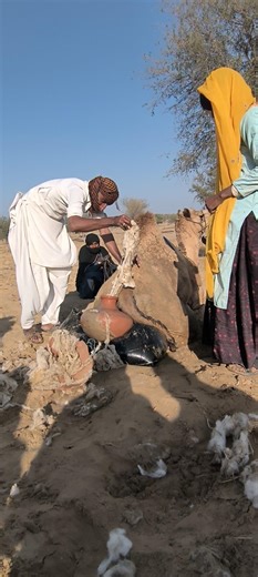 "الشيء المخفي في الجرة خلف الجمل"
