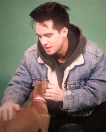 Brendon Urie Edits and New Year's Resolutions