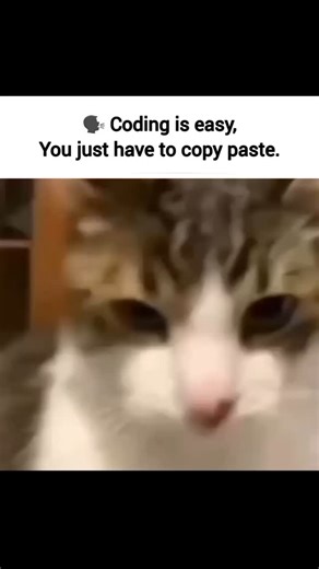 Raigen on Instagram: "Join my telegram channel for sourcecodes and other updates...link in bio.... #programmer #programming #coding #CodeLife #codinglife #CodeNewbie #code #coder #SoftwareEngineer #devloperlife #developer #reels"