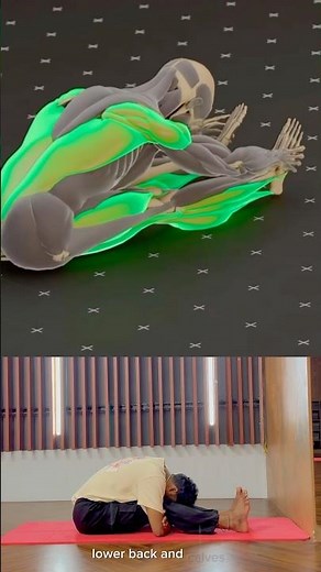 How to do paschimottanasana pose #yoga. #mobility #stretching #hamstrings #flexibility#spine