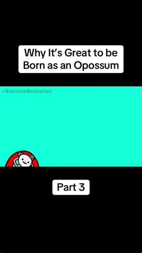 Why It’s Great to be Born as an Opossum #opossum