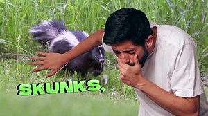 Pet Urine Odor Eliminator Spray, Ideal for Cat, Dog Poo and Urine Smell, Versatile & Natural Odor Neutralizer for Home and Outdoor Use, Ready to Use, 16oz