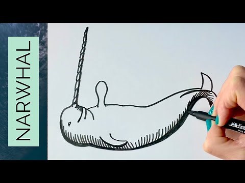 How to draw a NARWHAL